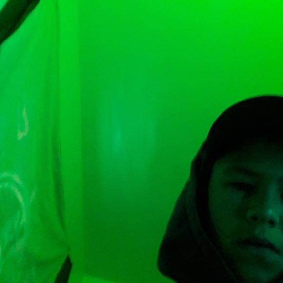 Meet your Posher, Kadynce - Picture 1 of 1